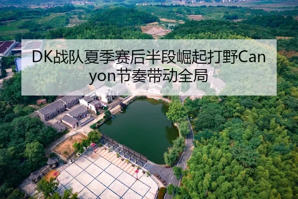 DK战队夏季赛后半段崛起打野Canyon节奏带动全局
